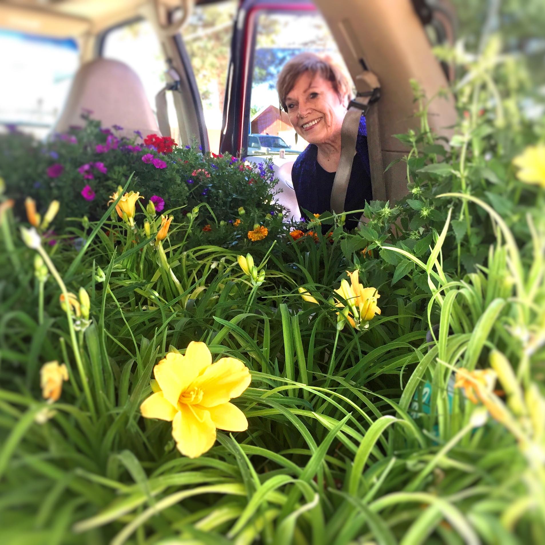 Picture of Cristine Arnold