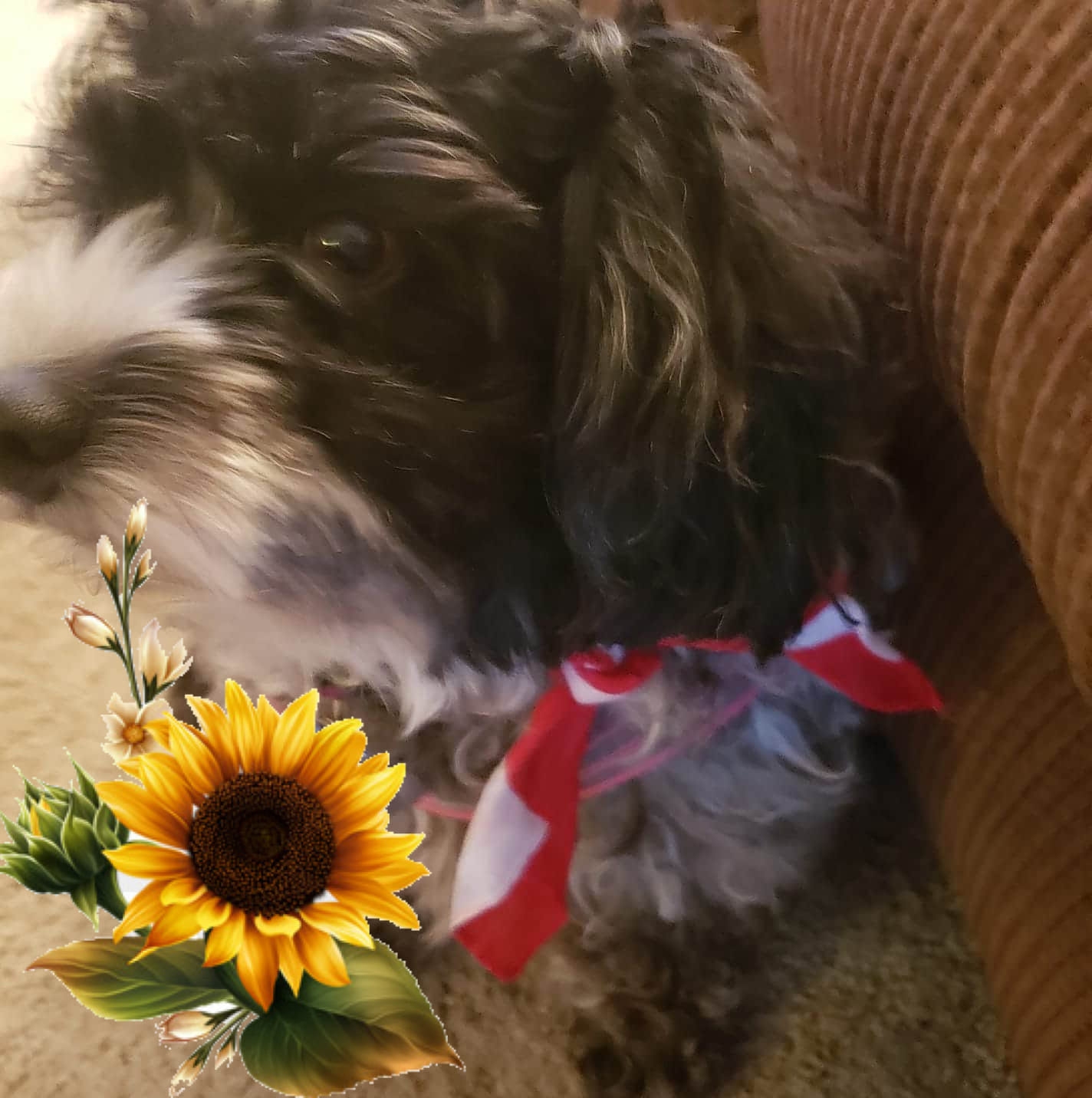 Picture of Pamela Yeo