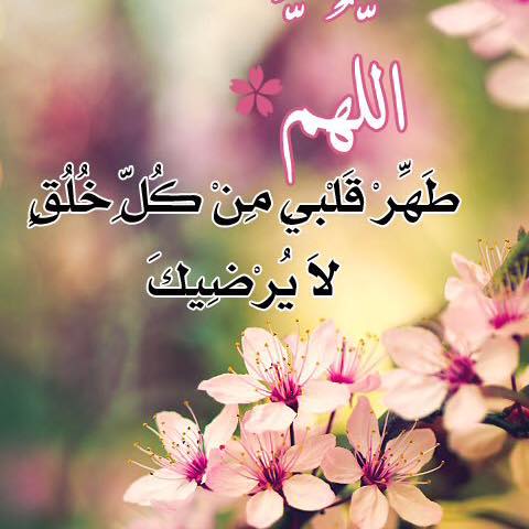 Picture of Jamileh Hassan