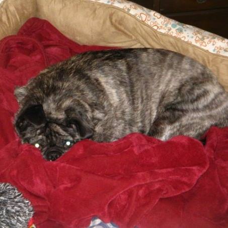 Picture of Diane Poff