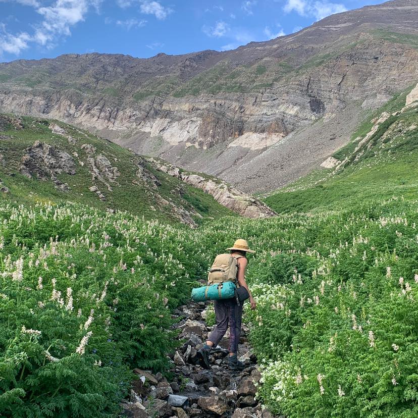 Picture of Kately Mischnick