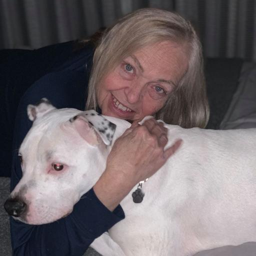 User profile photo