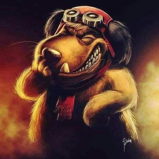 User profile photo