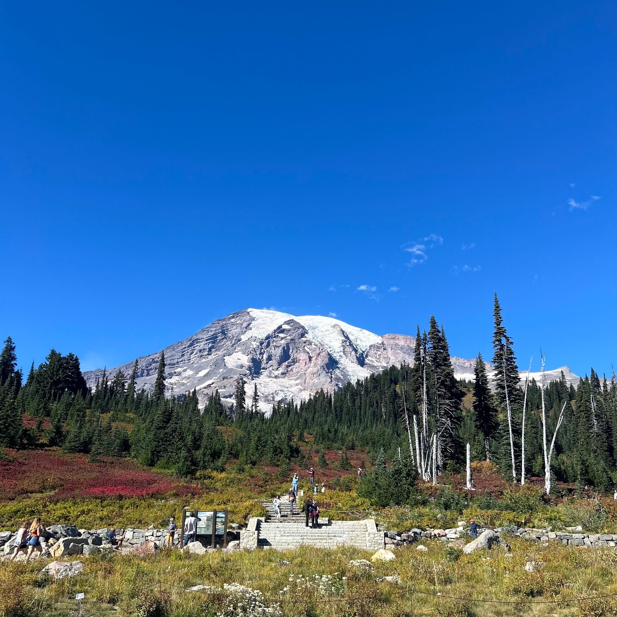 Picture of Theresa Watkins Gordon