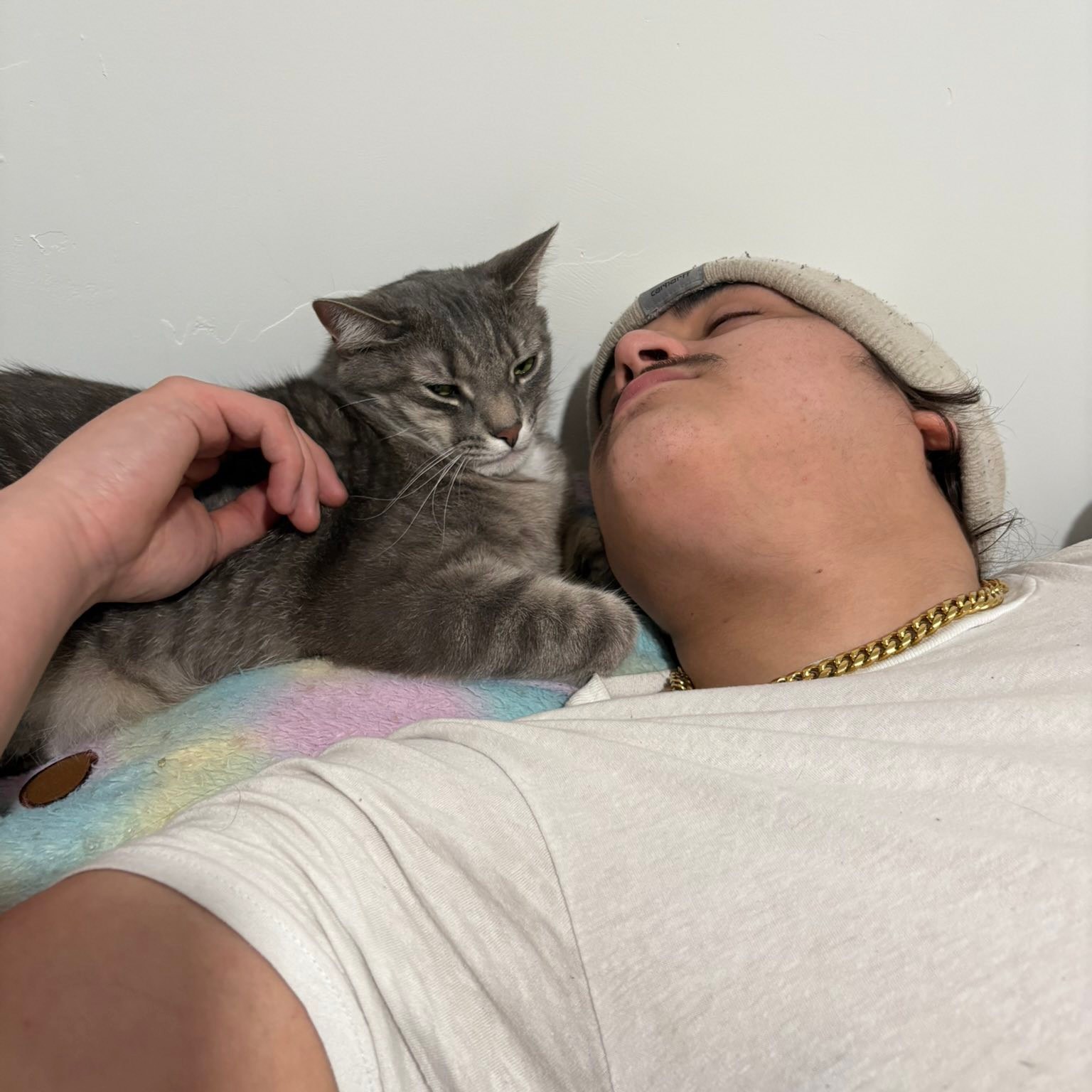 Picture of Savannah Davis