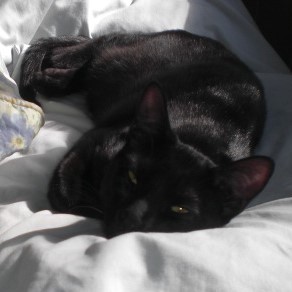 Picture of Terese Marker