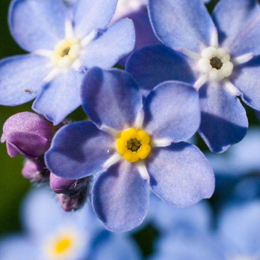 Picture of Todd, Melissa and Mitchell Johnson