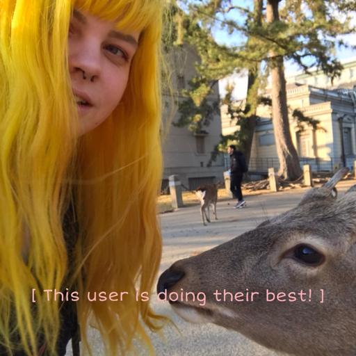 User profile photo