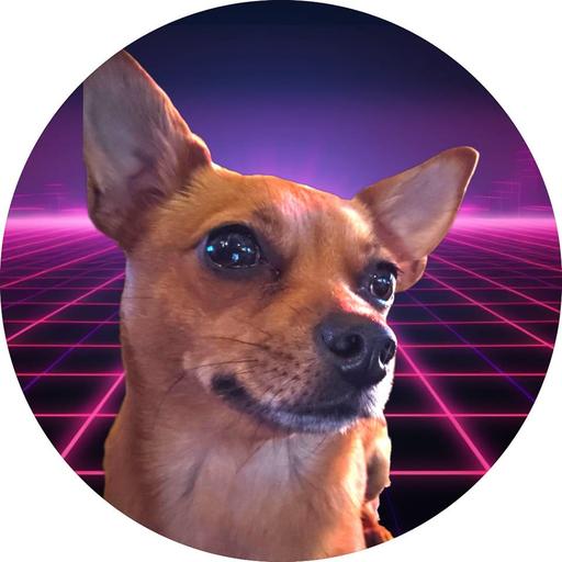 User profile photo