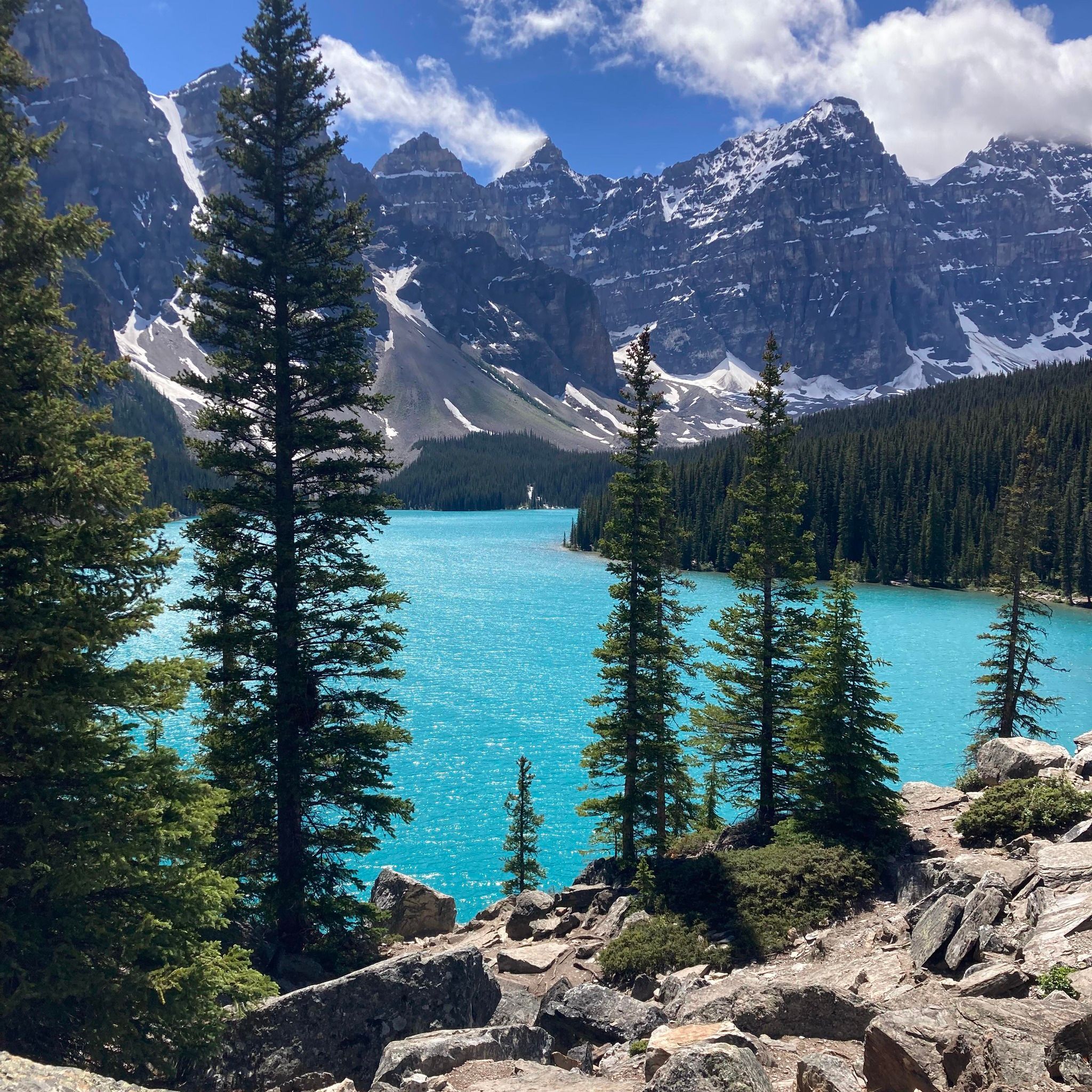 Picture of Robin Rodgers