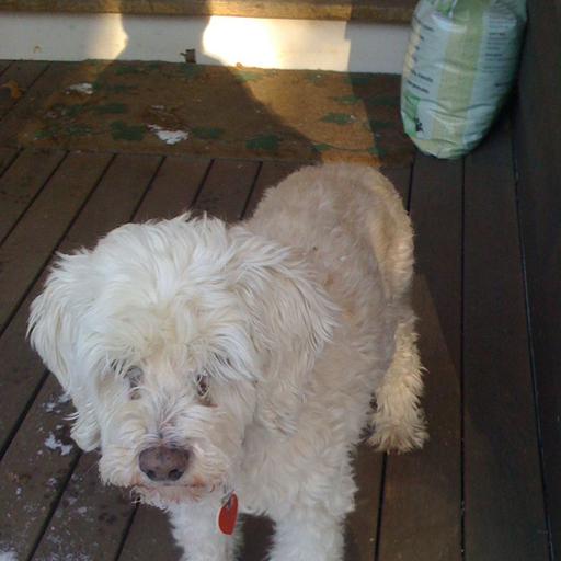 user profile icon inside a circle