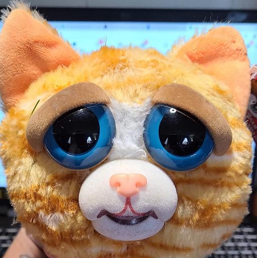 User profile photo