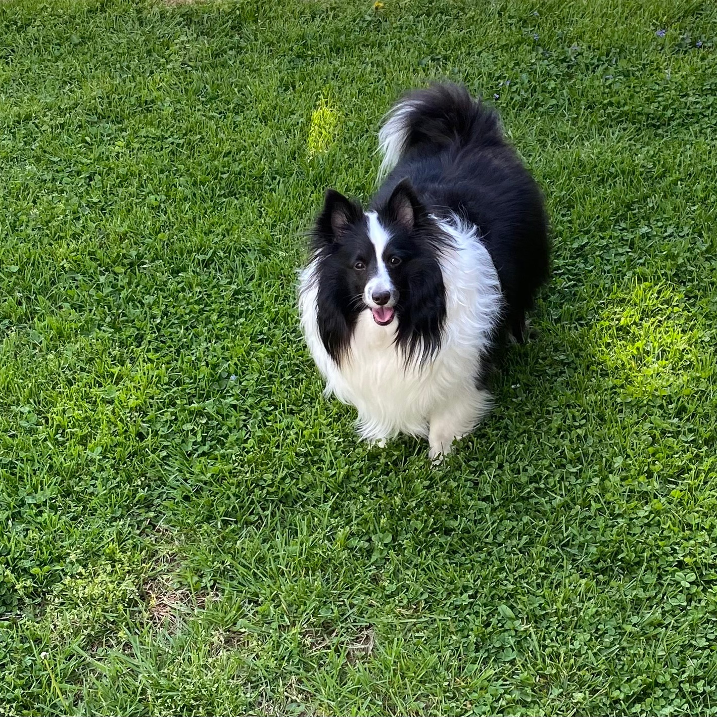 Picture of Linda Henderson-Jones