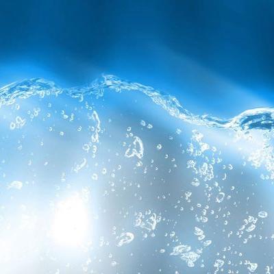 Picture of Roxanne Fi