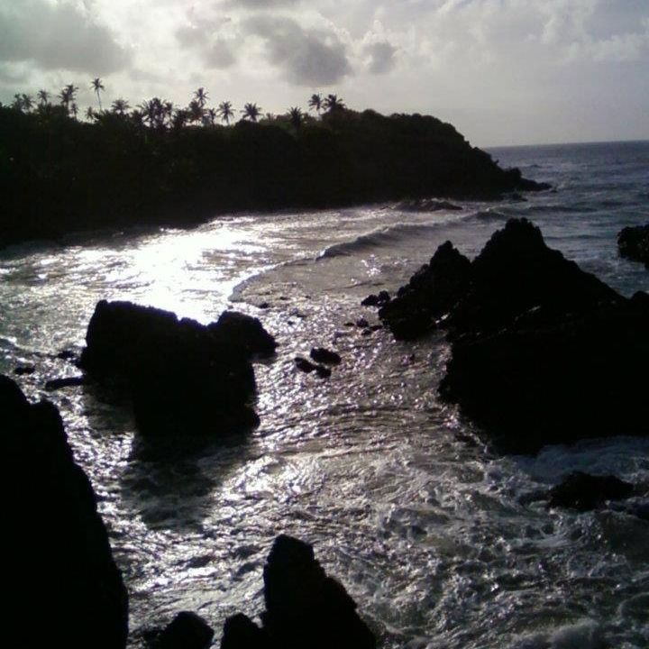 Picture of Gros Michel