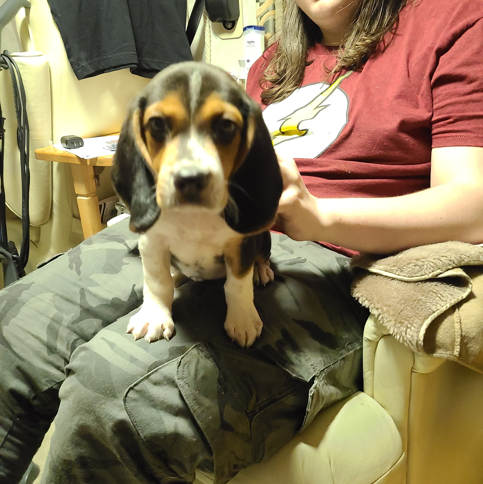 Picture of Julie Atwood