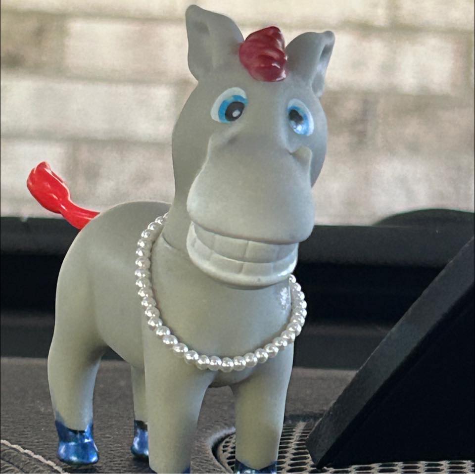 Picture of Cindy LaForest Funck