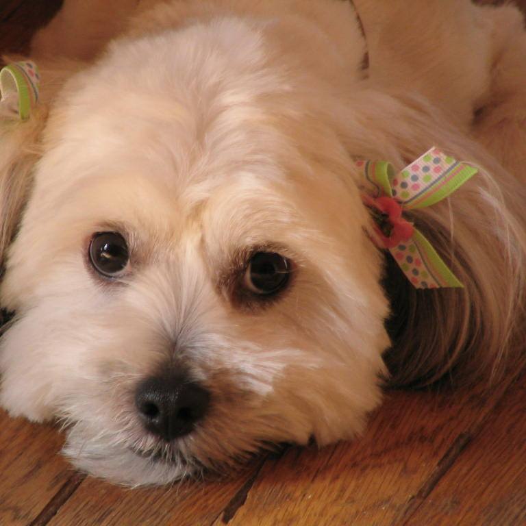 Picture of Curtis Mokrey