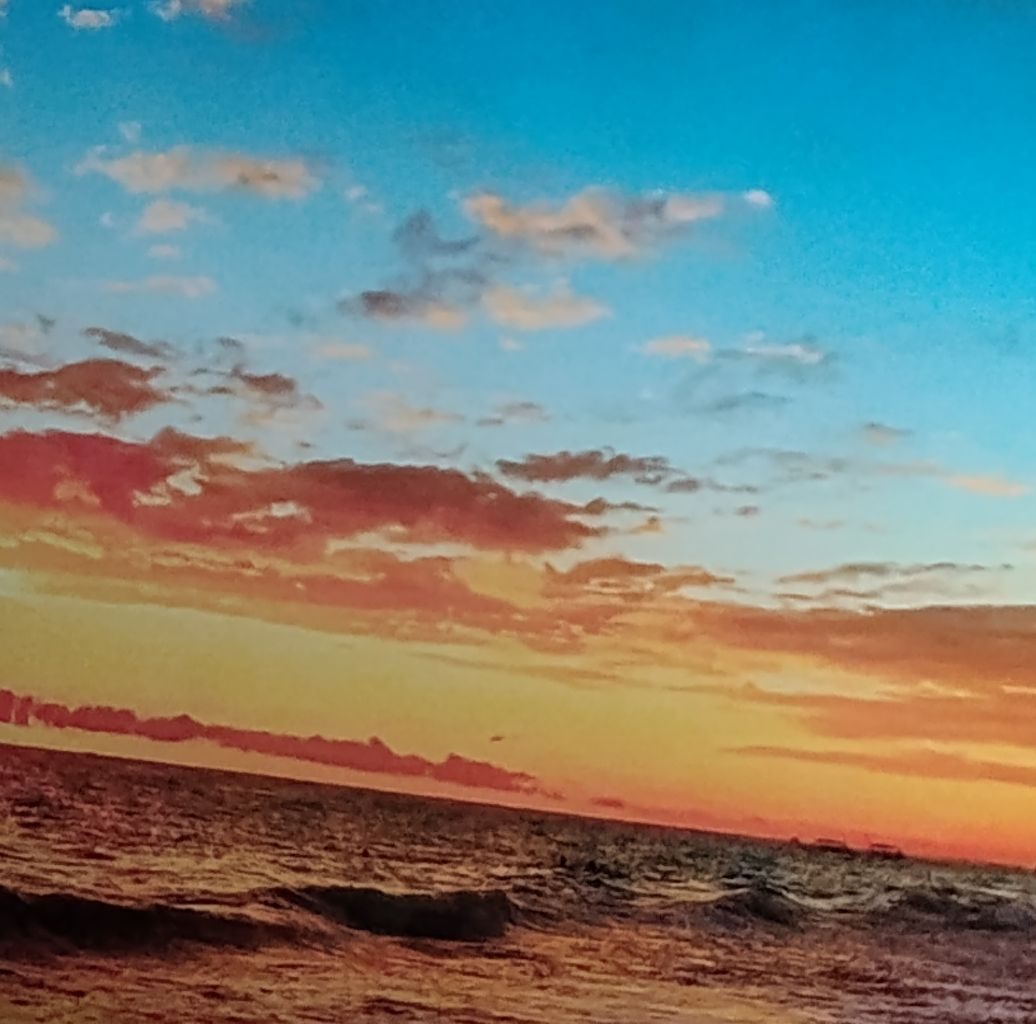 Picture of Steven Anderson