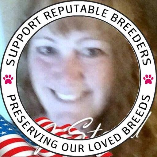 User profile photo