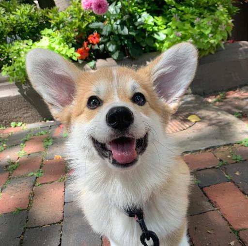 User profile photo