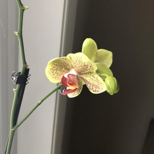 User profile photo