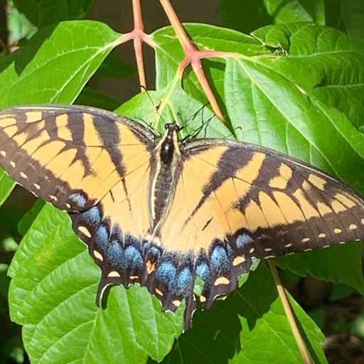 user profile icon inside a circle