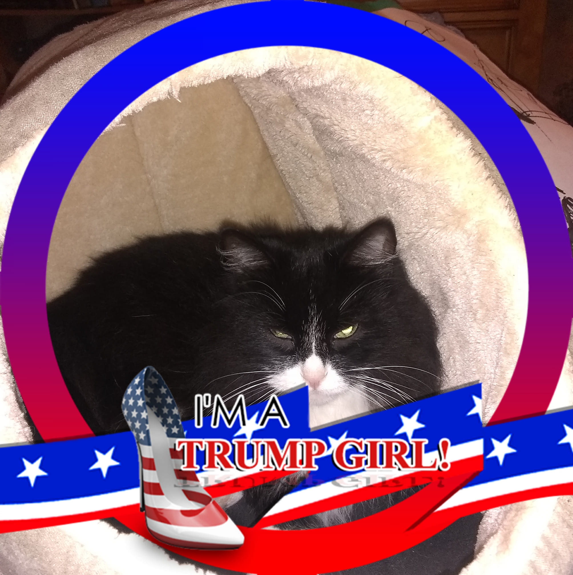 Picture of Cory Nelson