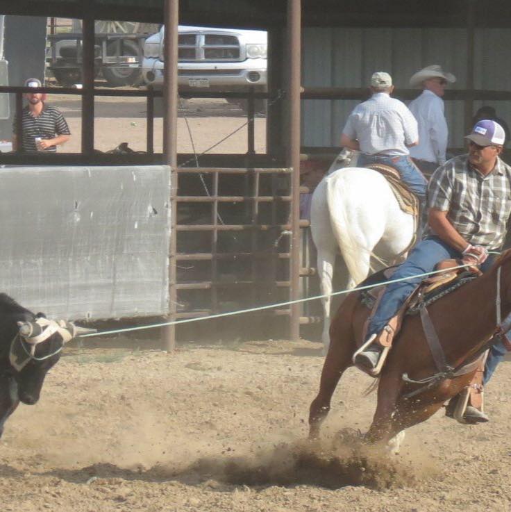 Picture of Jon Kenline