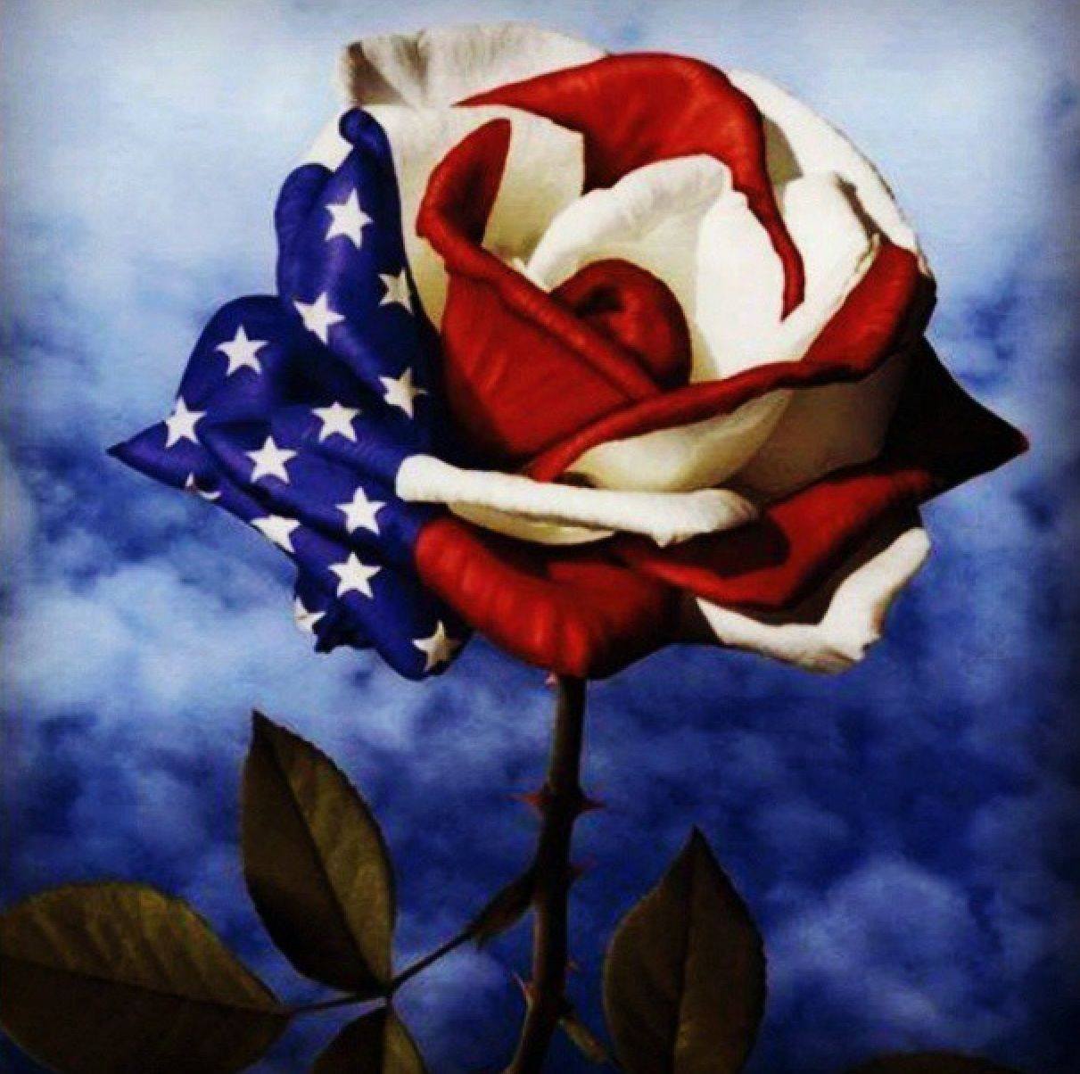 Picture of Jenny Donahue