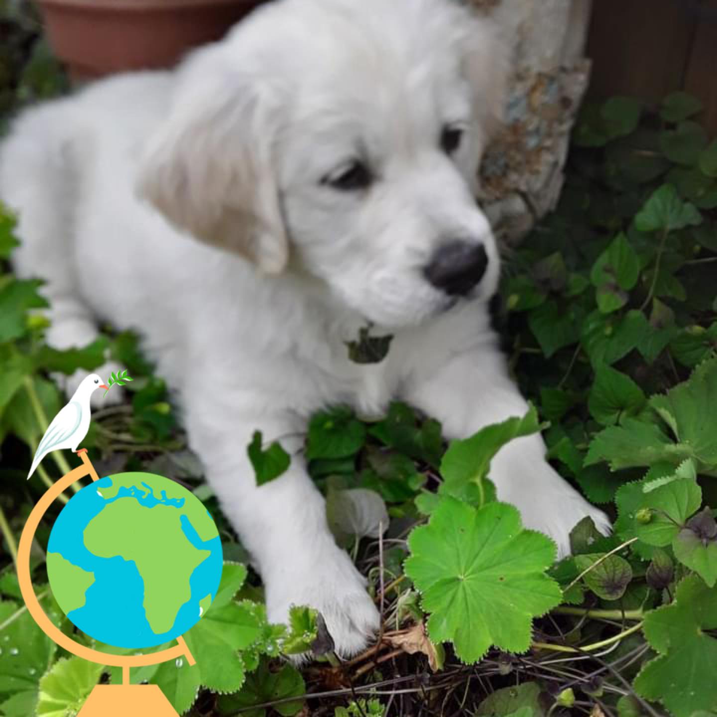 Picture of Leanne Young