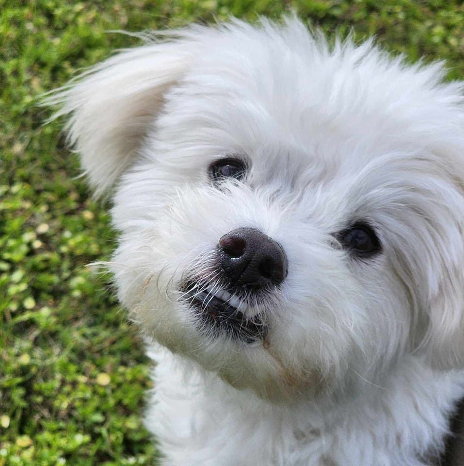 Picture of Elsa Garrett