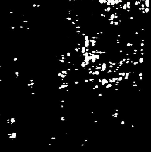 user profile icon inside a circle