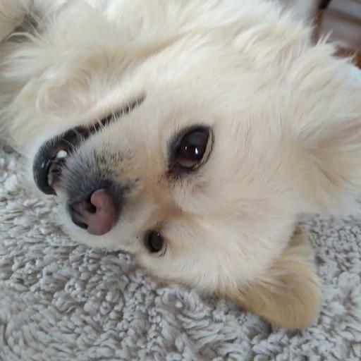 User profile photo