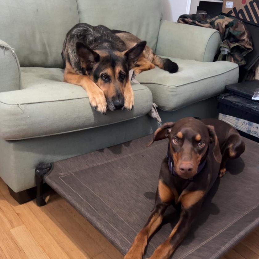 Picture of Kayli Hart