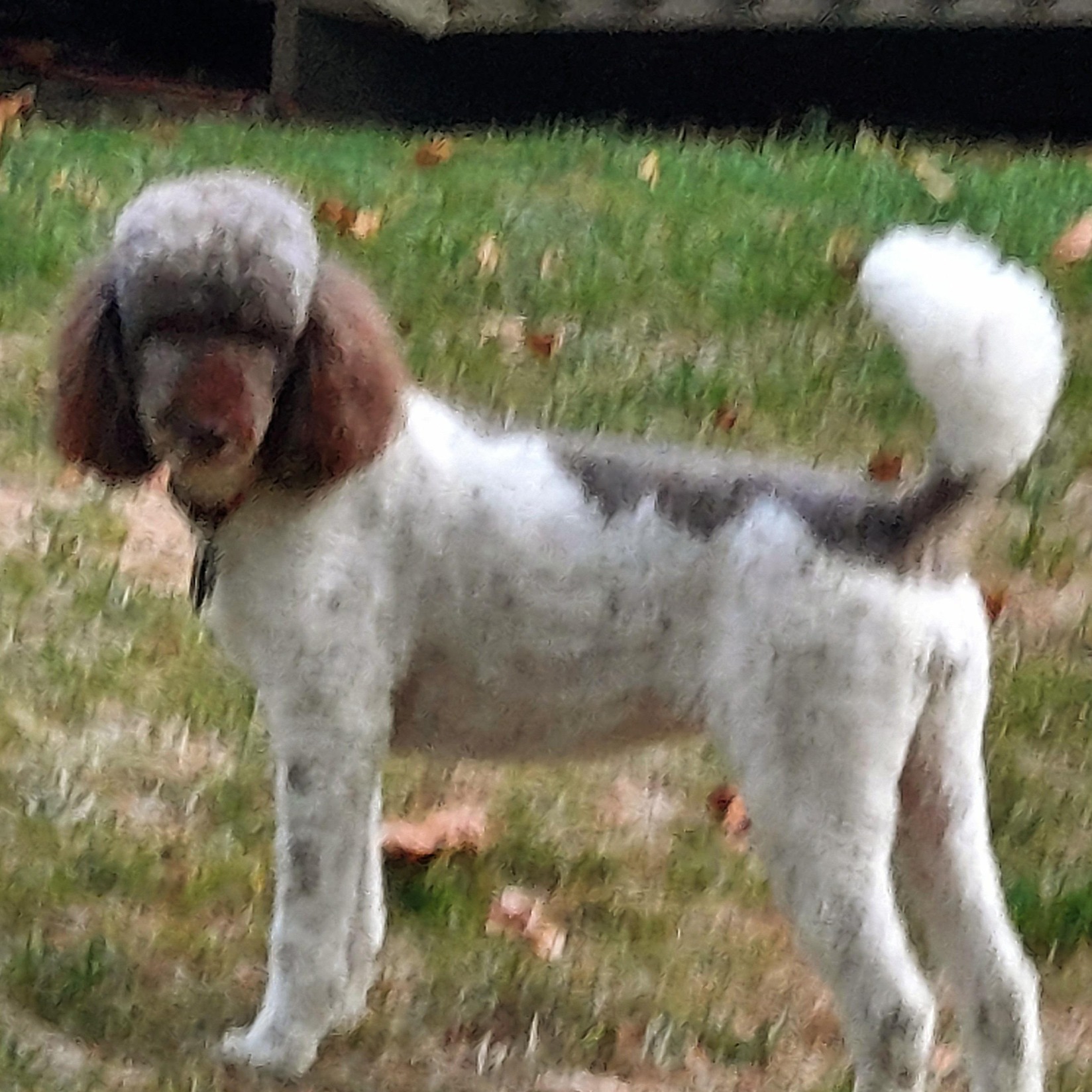Picture of Alan Frankel