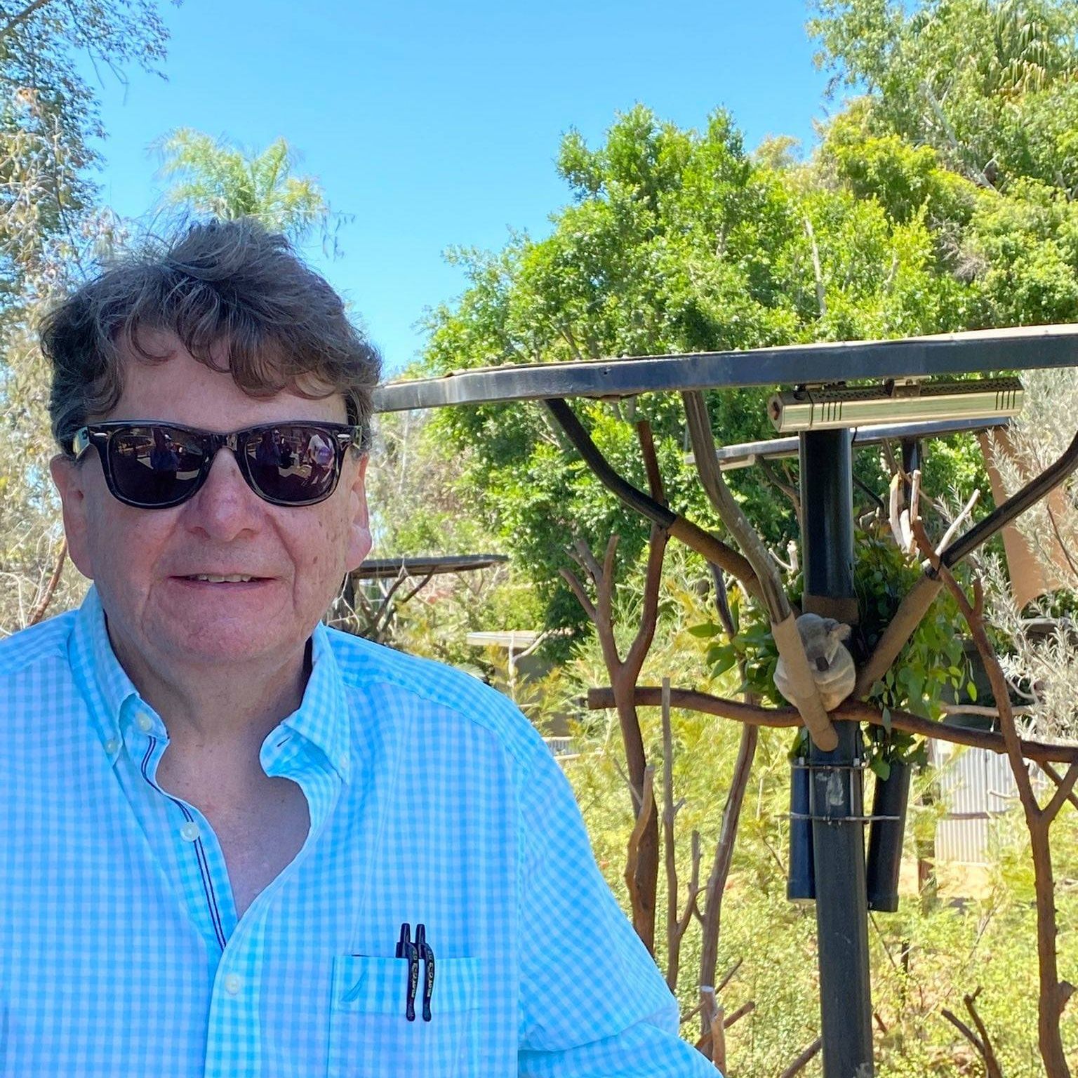 Picture of Robert Young