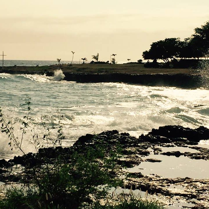 Picture of Cori Sonognini