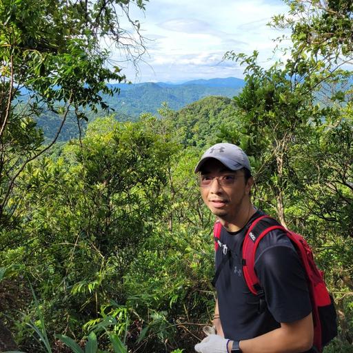 User profile photo