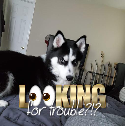 User profile photo