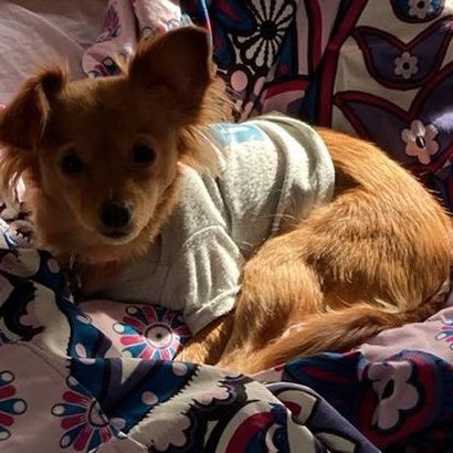 Picture of Bayley Powers