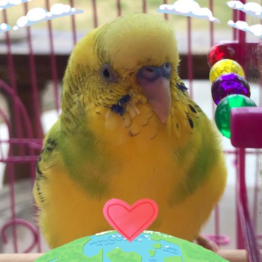 User profile photo