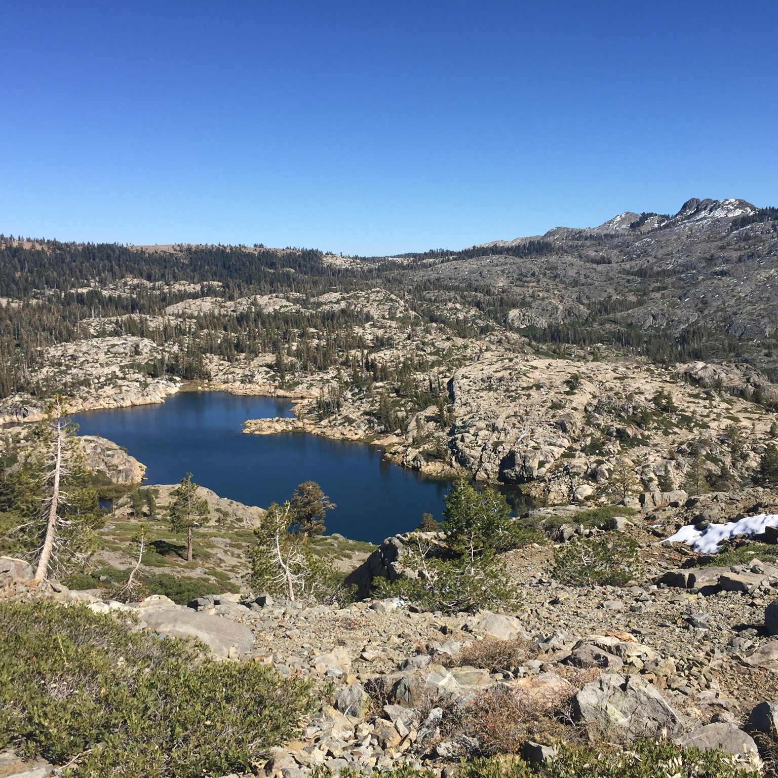 Picture of Andrea Pronto