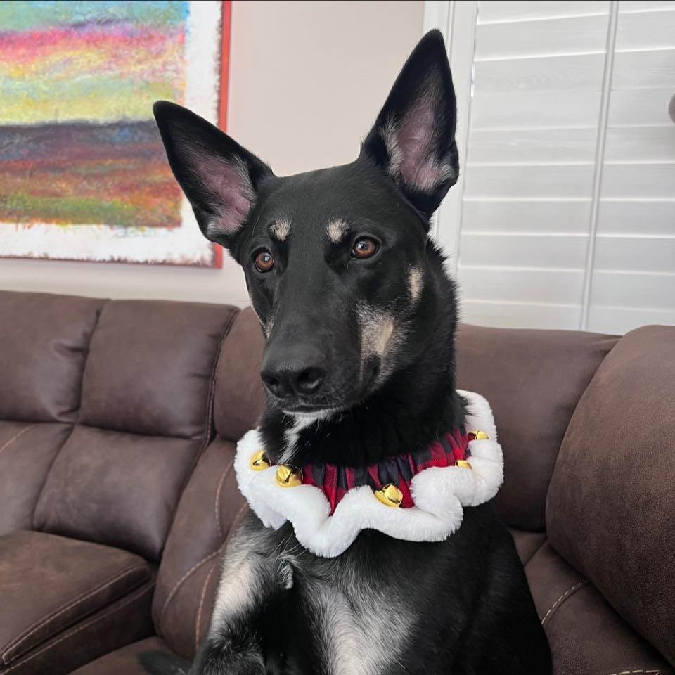 Picture of Kristina Koontz