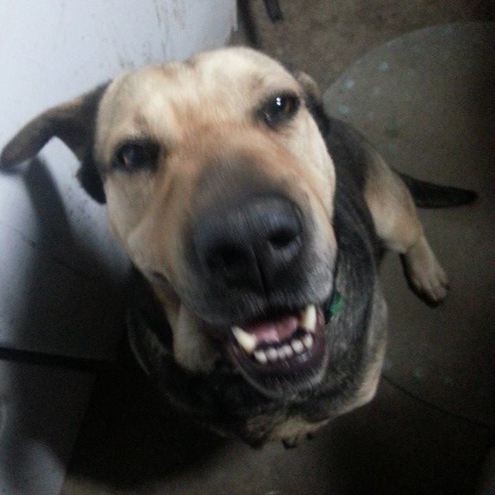 Picture of Doug Connor