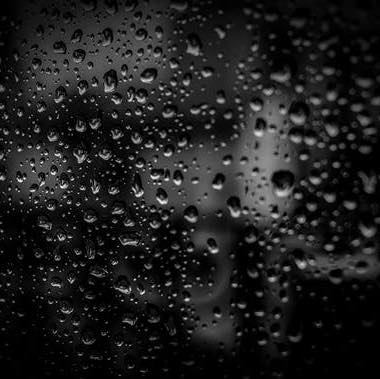 Picture of Angie McCambridge