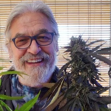 Picture of Gregg Below-Fi