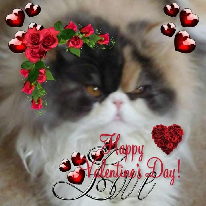 Picture of Ellen Baer