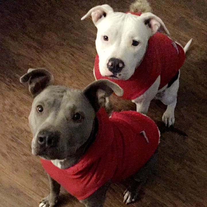 Picture of Janessa Romero