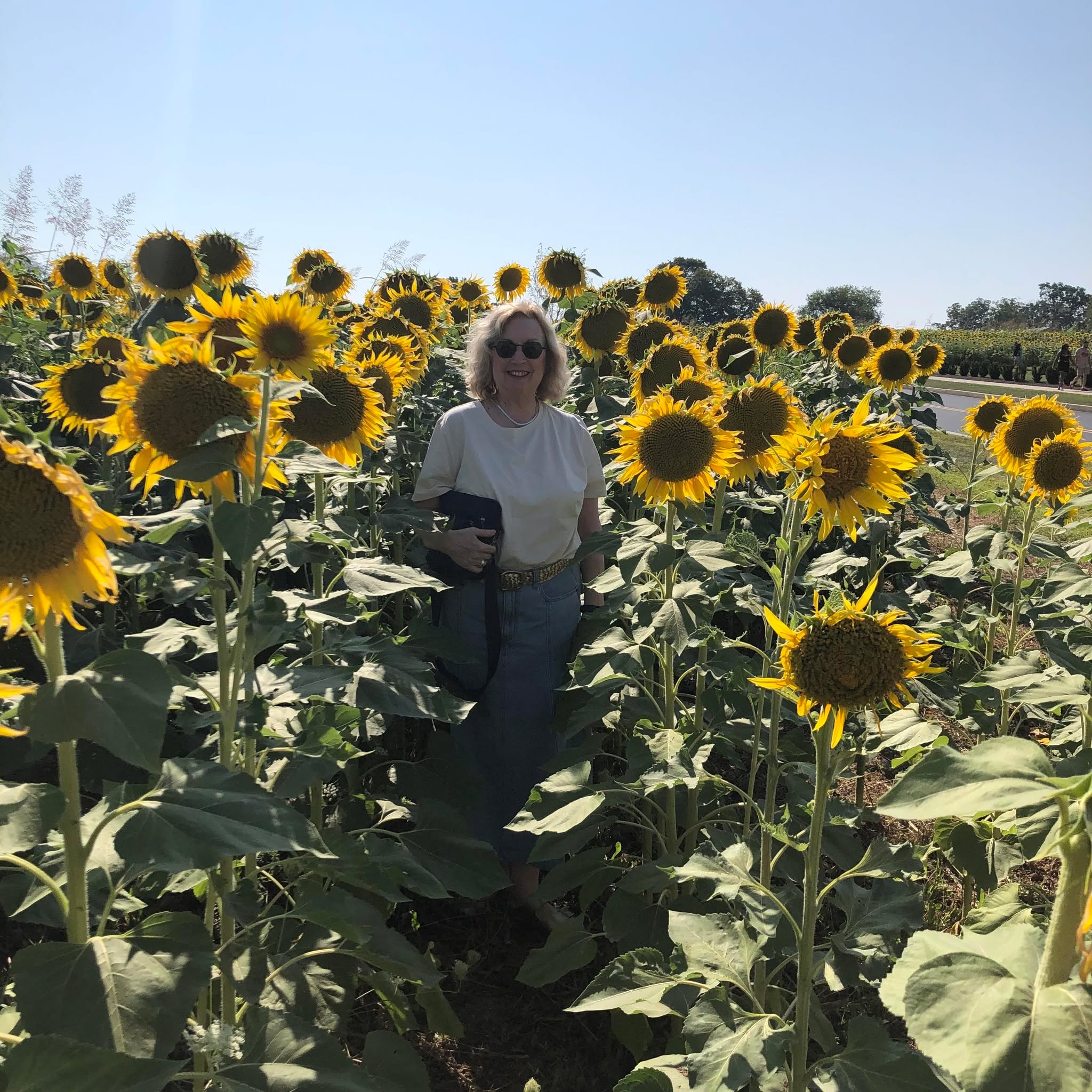 Picture of Kristina Hollingsworth